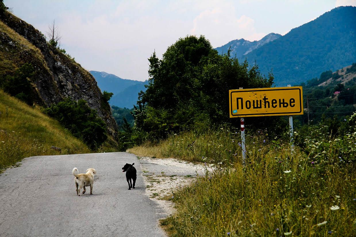 Regresar a Montenegro