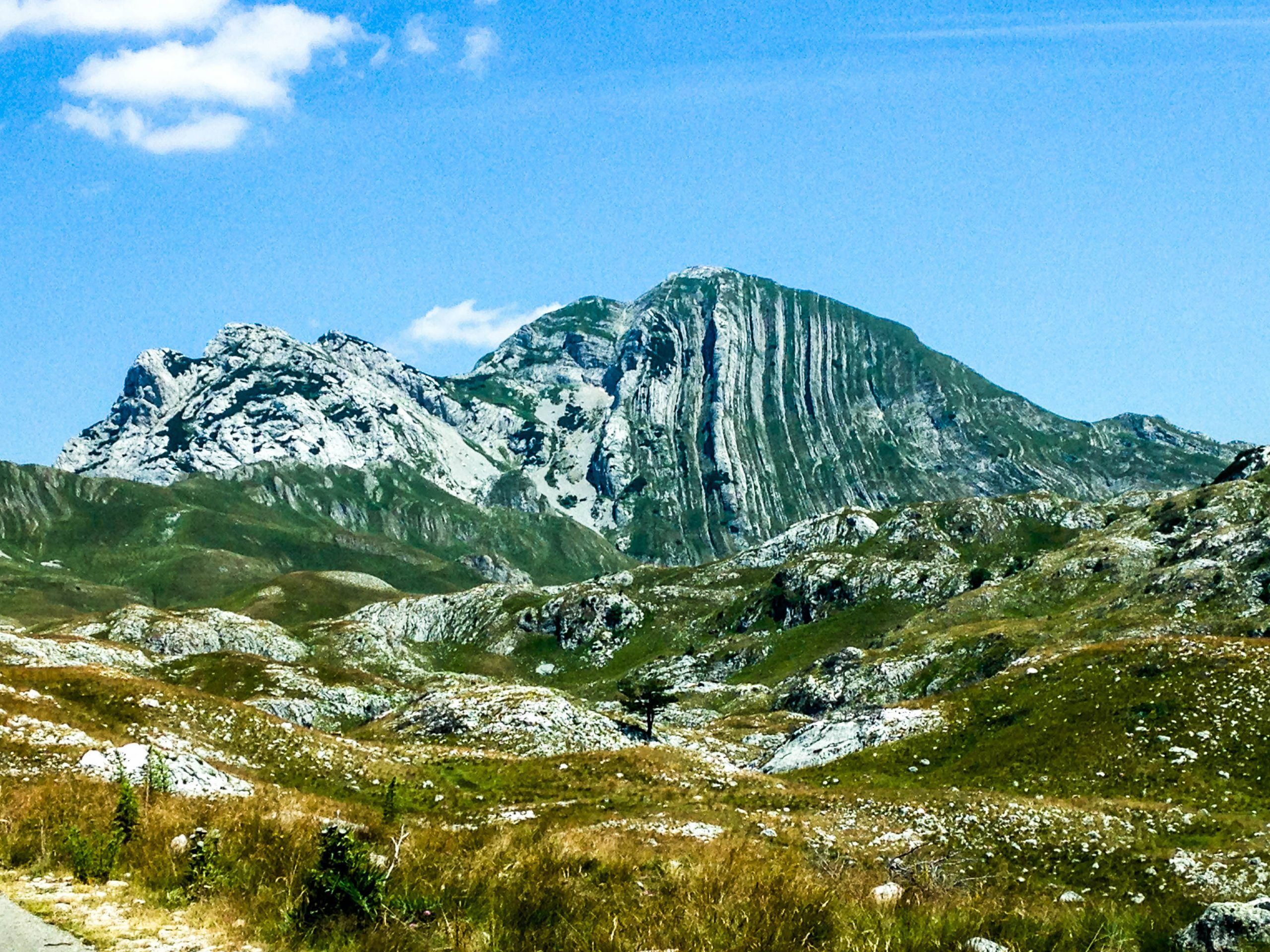 Regresar a Montenegro
